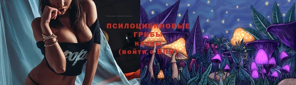 mdpv Новозыбков