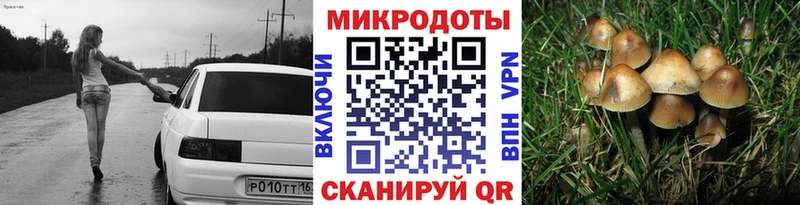 Псилоцибиновые грибы Psilocybe  Адыгейск 
